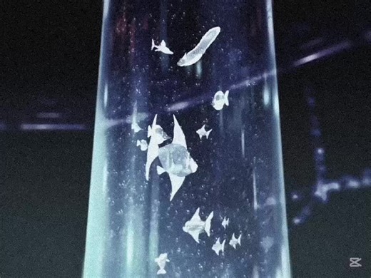 Tears in Rain - A Blade Runner Reflection