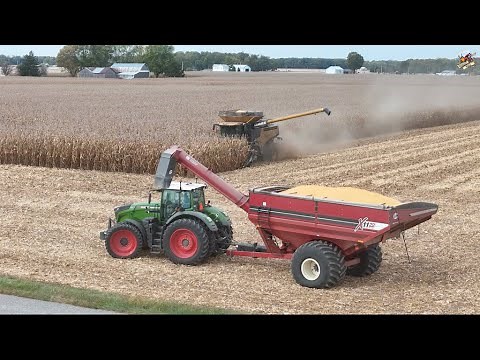 Harvesting Corn near Greenville Ohio