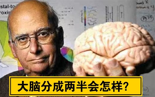 人脑的秘密：左右脑的分工——斯佩里的裂脑人（割裂脑实验！