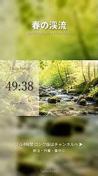 【朝活BGM】春の渓流 ポモドーロ 🌱 25分集中×5分休憩 #shorts #ポモドーロ #自然音 #seionradio