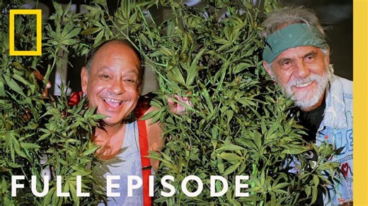 Legal Marijuana in America: The New Green Rush (Full Episode) | Nat Geo Investigates | Ruben Lindo