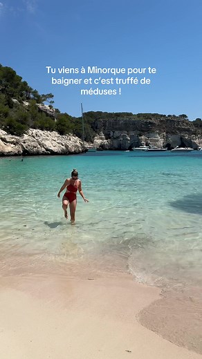 Méduses envahissent Minorque : que faire ?