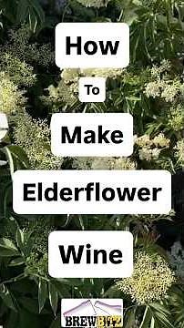 How to make Elderflower Wine at home Part 1. #elderflowerwine #homebrew #homemadewine