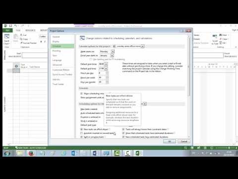 MS Project 2013 - Setting Up a MS Project File