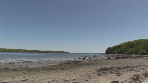 Contamination risks threaten clam, mussel harvests at Bar Harbor beach