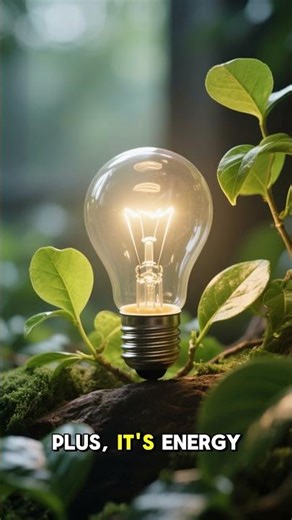 The REAL Difference Between Li Fi and Wi Fi for FASTER Internet