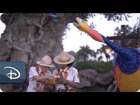 Sightings of Kevin from Disney•Pixar’s 'Up!' Reported at Disney’s Animal Kingdom