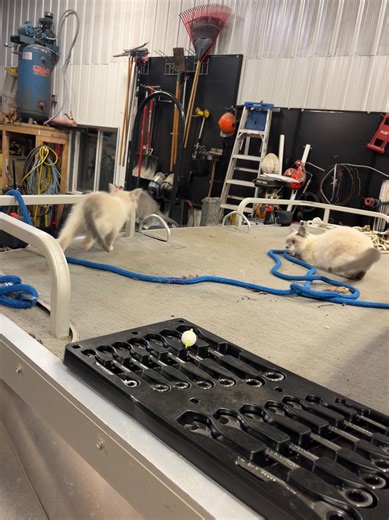 Scott Miller on Reels