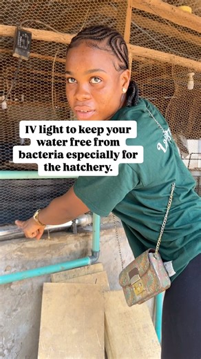 #catfish #urbanfarming #aquaculture #agriculture #fishfarming #agribusiness #entrepreneurship #catfishfarming #fishfarm #farming . | Mirajfoodsand_fishery