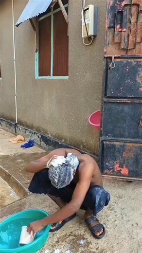 Discover the Magic of AI with Balli Bot Mogis