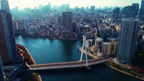 Tokyo, Japan 4K: Relaxing cinematic drone journey
