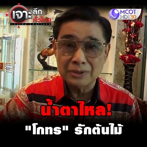 น้ำตาไหล! "โกทร" รักต้นไม้ . เจาะลึกทั่วไทย ทุกวันจันทร์-ศุกร์ เวลา 8 โมงเช้า ทางช่อง 9 MCOT HD หมายเลข 30 . ชมรายการสดทาง online ที่ https://dai.ly/x74wlgj ชมรายการต่าง ๆ ของช่อง 9 MCOT HD ย้อนหลัง ได้ที่ Website >> https://tv.mcot.net/mcothd dailymotion >> https://www.dailymotion.com/9mcot YouTube >> http://bit.ly/1QOUpWK | 9 MCOT