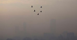 Jakarta named world's most polluted city | New Straits Times