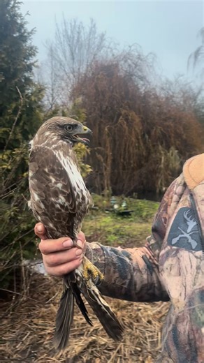 Zdeněk Machař on Instagram: "#fyp #animals"