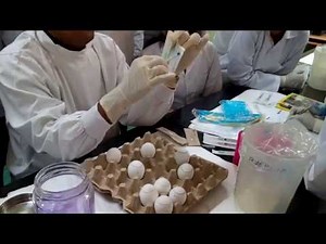 Egg inoculation 2/3: Inoculating the allantoic cavity