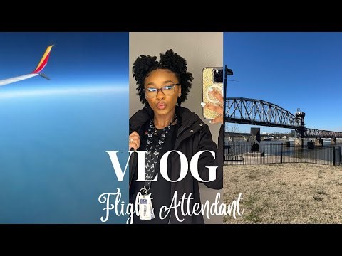 Flight Attendant Vlog| First Time Overnighting in my Home State| Going to the Zoo