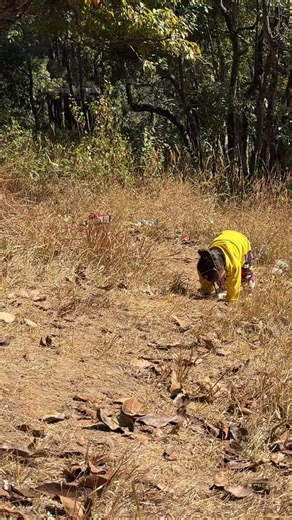 Shreeja Pandey: The Miss Independent Journey