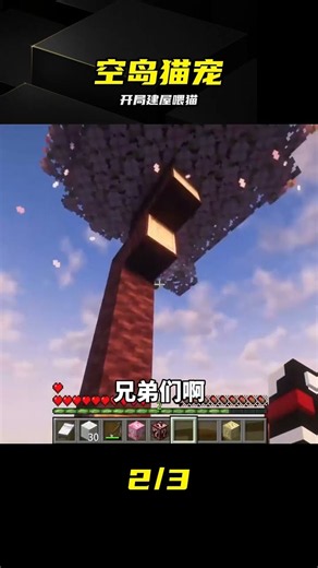開局遇到貓貓！空島生存全靠它，撿方塊逆襲了 #空岛生活 #猫猫日常 #幸运方块 #方块挖掘 #奇遇