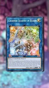 CHARMERS - One Minute Overview