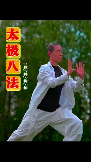 Eight Basic Tai Chi Techniques 掤：Ward-off 捋：Roll-back 挤：Press 按：Push 采：Pull-down 挒：Split 肘：Elbow 靠：Lean. #Taichi #kongfu #Chinese #china #healthcare