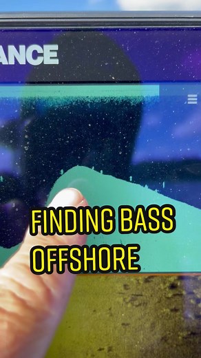 Dancing Ledge Fishing: Bass Fishing Tips for Finding Bass Offshore