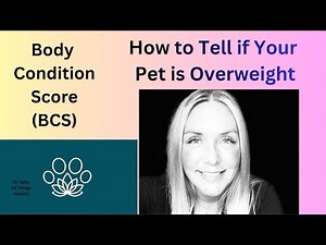 Is Your Pet Overweight?