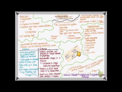 OCR A LEVEL BIOLOGY - UNIT 5.1 | HOMEOSTASIS