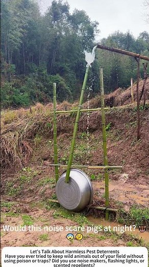 DIY Water‑Powered Noise Maker – Scaring Wild Boars Without Harm 🌾💧
