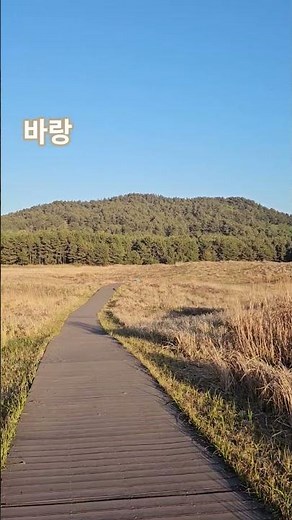 #바랑#김희재#신두리해안사구#신두리해수욕장#안면도#가볼만한곳#사막#감성여행#일몰맛집#숨은명소#안면도가볼만한곳