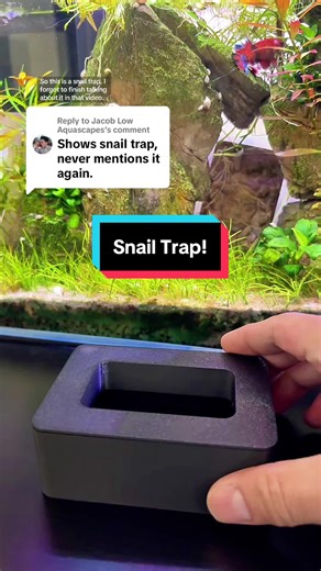 Replying to @Jacob Low Aquascapes Here’s the snail trap, let’s see if it works in a tank it doesn’t fit it… #aquascape #aquariums #fishtank #snails #aquaticsnails