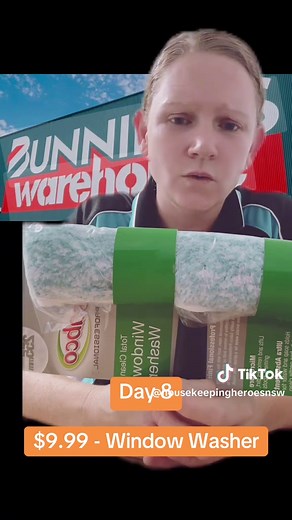 Efficient Window Cleaning with Sabco Washer