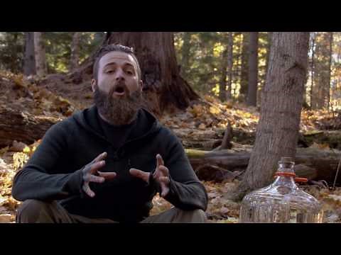 FindASpring - Why Spring Water?