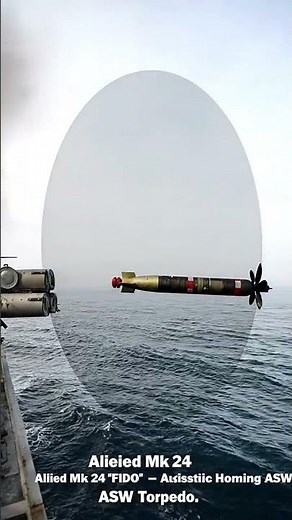 FIDO The “Mine” The First Air‑Dropped Sub‑Hunting Torpedo