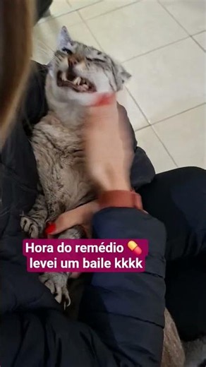 video completo como dar remédio para seu gato 🤒🤒🤒😼😼😼💊💊💊💊🐱🐱🐱🐱