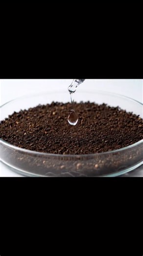 🌸🌻 Pick your favorite national flower 🌹🌺 Part 2 #flowers #plants #asmr #fyp #nation #country #garden #satifying #oddlysatisfying #grow #gardening #love #nationalflower #culture #pretty | Sonic Satisfy AI