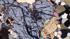 andalusite in thin section FKM-163 XP