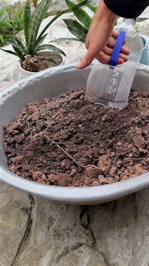 Make a Soil Scoop from a Plastic Bottle #DIY #LifeHack #Repair #SmartTrick