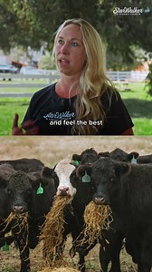 1.6M views · 4K reactions | From our family farm to your table 數 For...