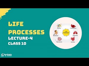 Life Processes L4 | NCERT Class 10 Science
