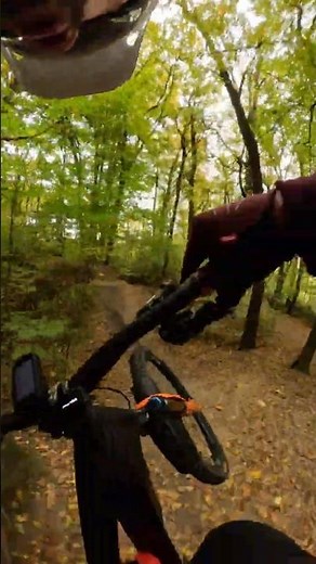 EMTB and Slopestyle Jumps! #mtb #emtb