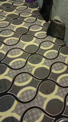 Leak Proof Glass Lunch Box with Dividers for Meal Prep