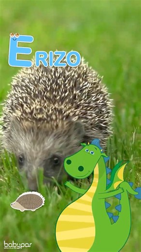 Canción de la Vocal E 🎵 Aprende palabras con E 🐘🦔🧹 #shorts #infantil #cancionesinfantiles