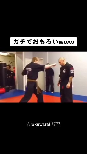 6秒で笑える面白動画集