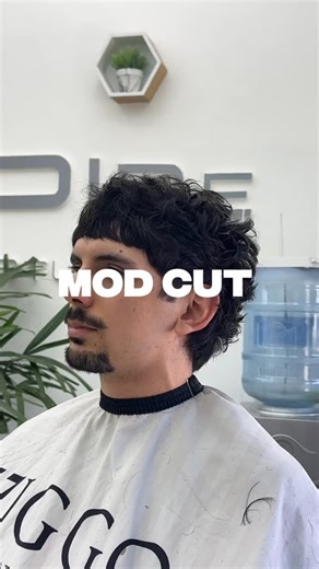 Enzo Martinez 🇺🇾 on Instagram: "Mod cut . . . #hairtransformation #haireducation #hairtutorial #modcut"