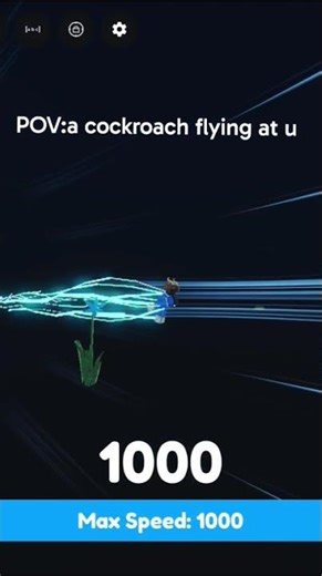 POV:a little cockroach flying at u