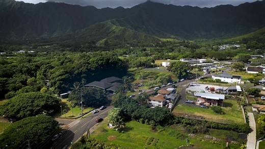 11 reactions | Our Hawaiian Telcom ‘ohana came together for Day in...