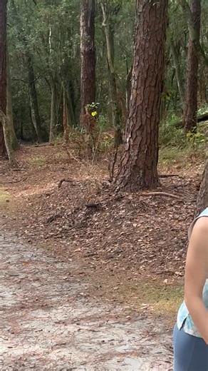 Robert Watson on Reels