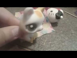 Hunger games (lps) part 2