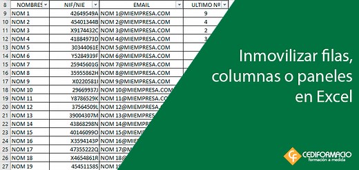 Inmovilizar filas columnas o paneles en Excel - CEDIFORMACIO