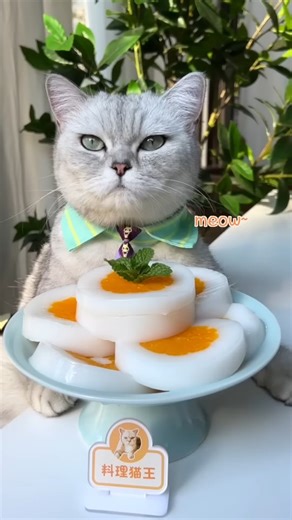 Chef Cat ChangAn | Make Delicious Orange Themed Desserts Easily!😸 #cat #cats #catlover #kitten #pets #meow #kitty #cute #pet #animals #dog #asmr #satisfying... | Instagram
